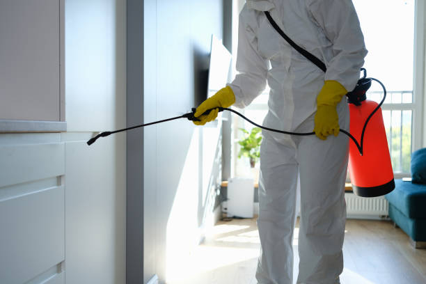 Lewisburg, OH Mold Removal Company