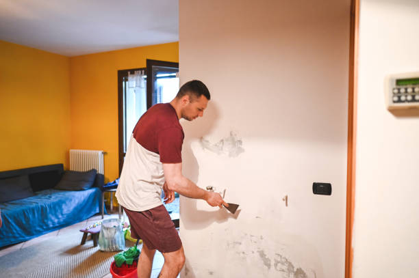 Best Mold Damage Repair  in Lewisburg, OH