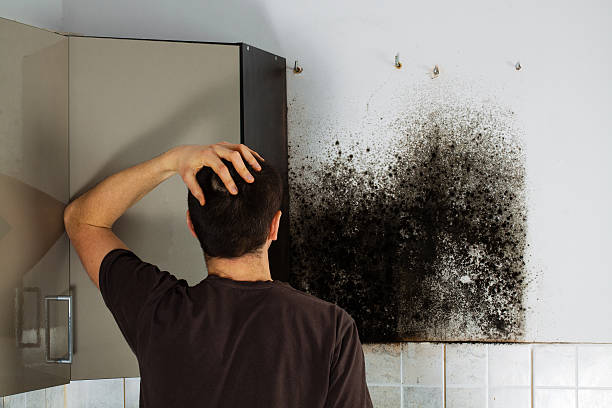 Best Office Mold Removal Services  in Lewisburg, OH